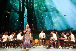 河北唢呐视频演出,传承千年民俗艺术的视听盛宴