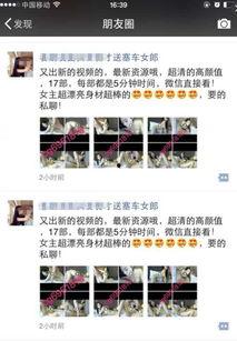 啪啪啪视频av,一场视觉与情感的盛宴