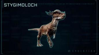 快手上恐龙的视频,恐龙视频带你穿越时空之旅