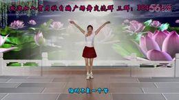 鸟鸟鸟舞蹈视频,鸟鸟鸟舞蹈视频魅力解析