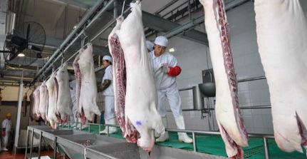 生猪屠宰视频,从养殖到餐桌的蜕变之旅