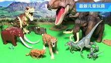 恐龙是玩具视频,探索古生物世界的趣味之旅