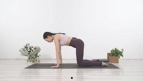 下载初级瑜伽视频,轻松入门，享受健康生活