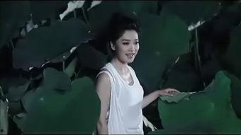 想爱就爱视频,探索现代爱情的自由与责任