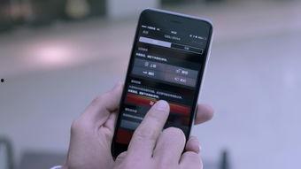 zf视频社区,内容丰富、互动热烈的网络新天地