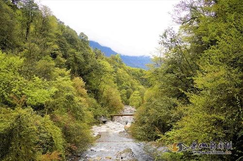 黑竹沟视频,大自然的秘境奇观